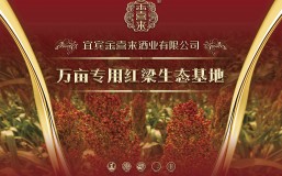 战略 | 金喜来酒业生态红梁基地项目正式启动