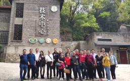 同台竞技 | 一出一进，且看金喜来的自信“舞步”